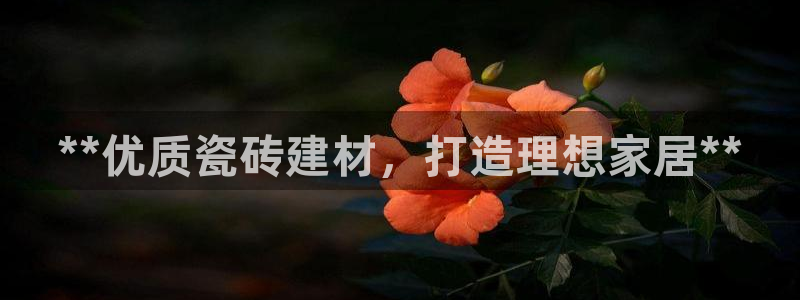 杏鑫平台招商怎么样啊
