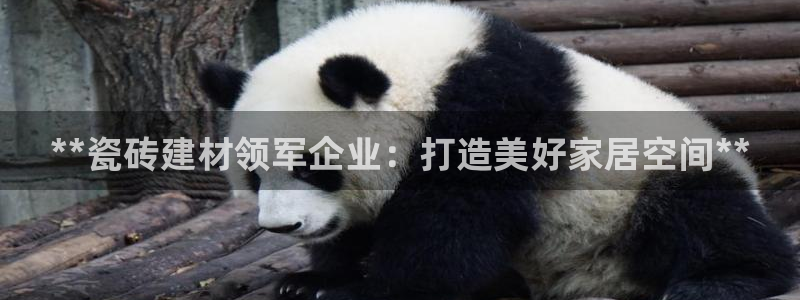 杏鑫平台正规吗