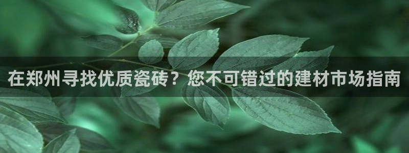 杏鑫平台招商电话号码查询