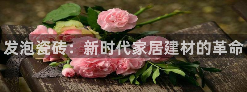 杏鑫平台登录地址在哪