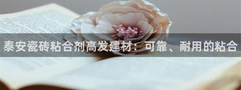 杏鑫官网最新信息新闻