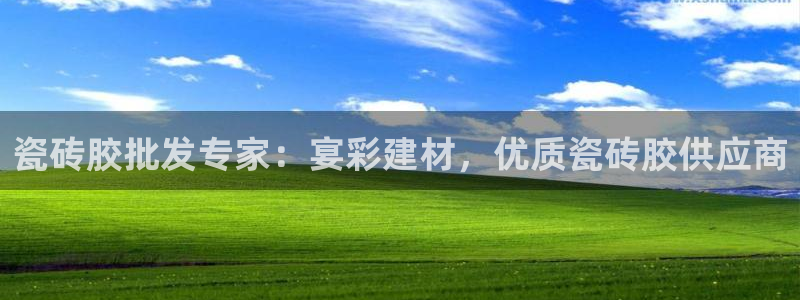 杏鑫手机客户端