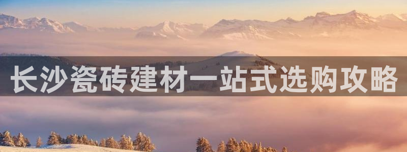杏鑫平台代理注册流程及费用