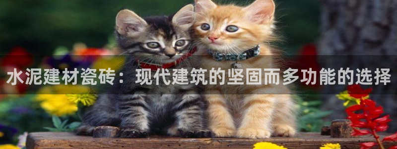 杏鑫平台靠谱吗
