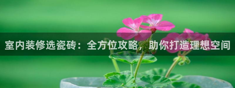杏鑫平台怎么样黑钱吗安全吗