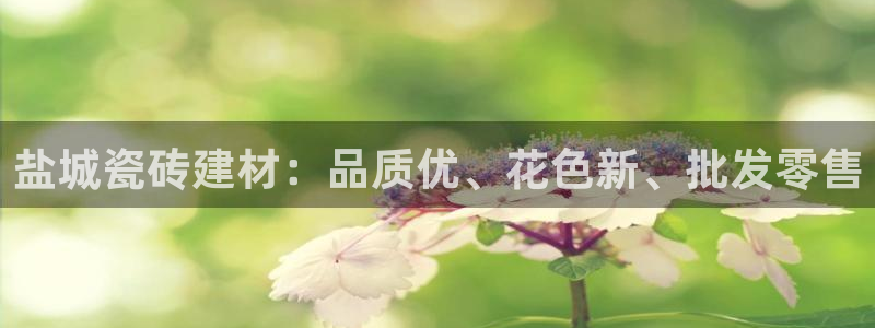 杏鑫登录注册测速