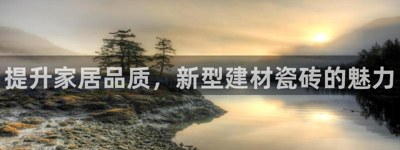 杏鑫注册登录代理公司