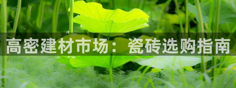 杏鑫平台怎么样知乎