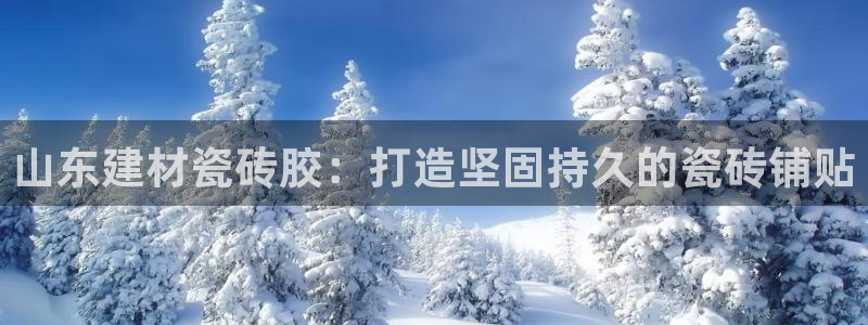 杏鑫平台登陆