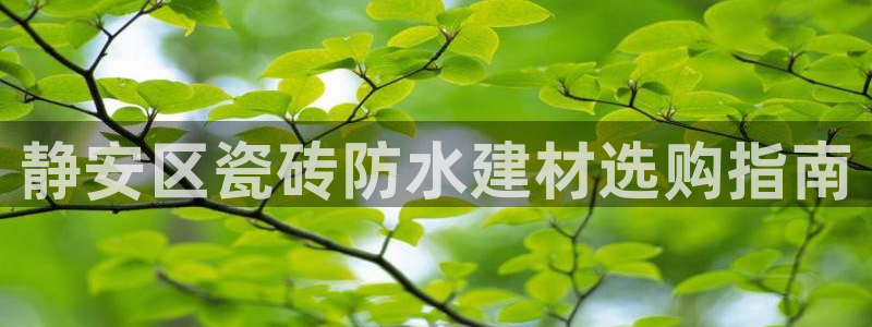 杏鑫平台登陆
