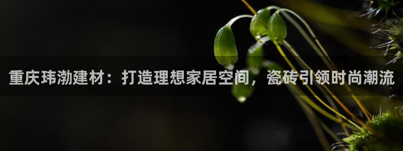 杏鑫平台是黑平台吗是真的吗