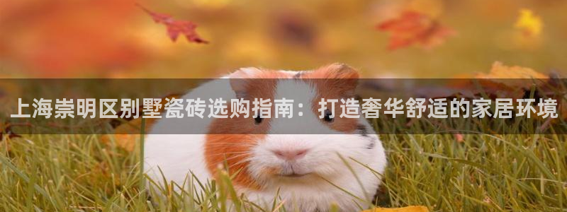 杏鑫平台列7O777
