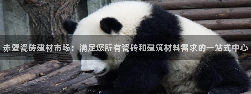 杏鑫平台怎么样知乎