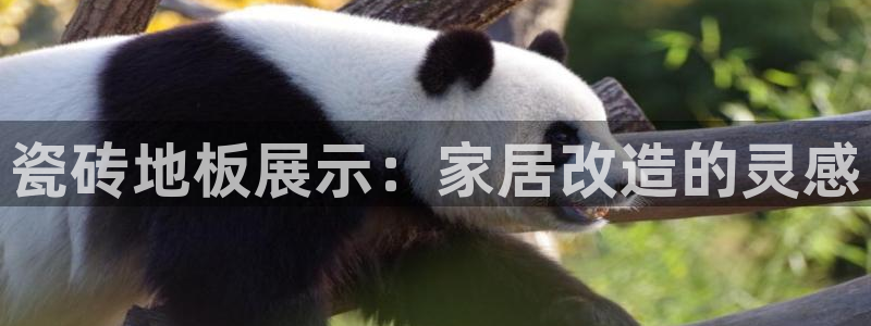 杏鑫注册平台官方网站入口
