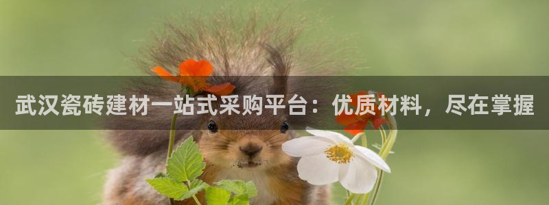 杏鑫官网注册账号密码是什么