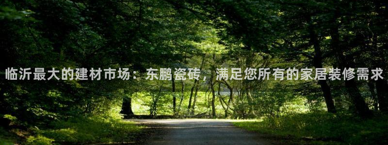 杏鑫代理注册登录