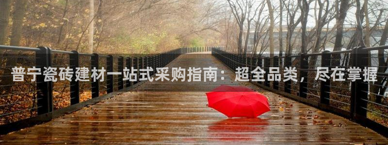 杏鑫官网最新信息新闻