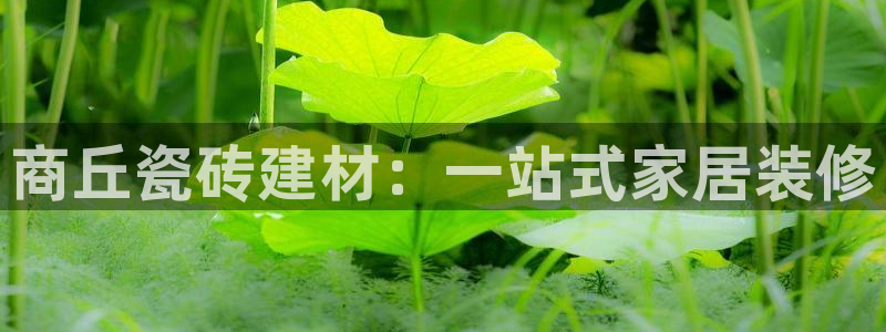 杏鑫平台代理怎么做赚钱