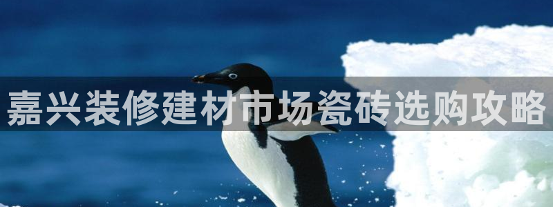 杏鑫官方平台怎么样啊安全吗