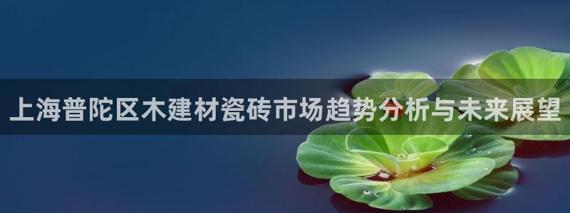 杏鑫平台代理
