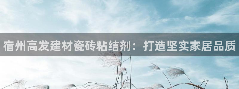 杏鑫平台官方网站