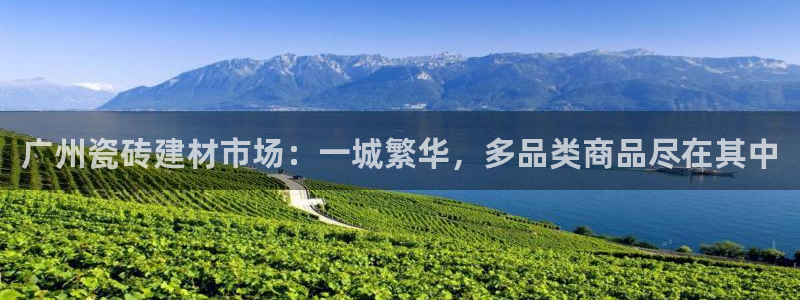 杏鑫平台代理怎么做赚钱