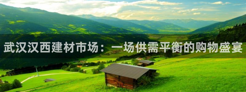 杏鑫官网注册账号是什么样的