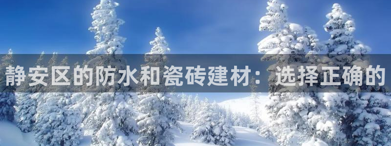 杏鑫平台代理怎么样赚钱