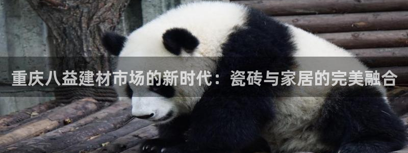 杏鑫平台是黑平台吗