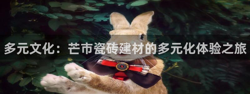 杏鑫平台招商怎么样啊