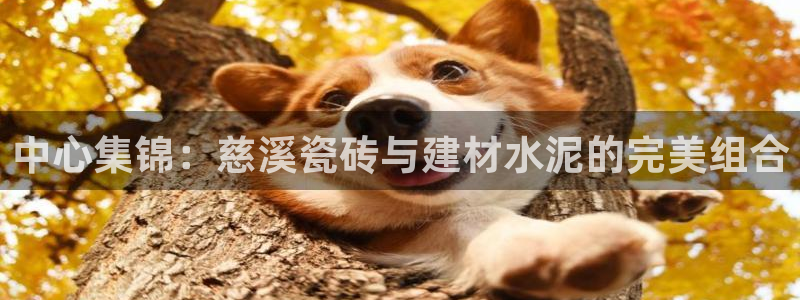 杏鑫平台靠谱吗