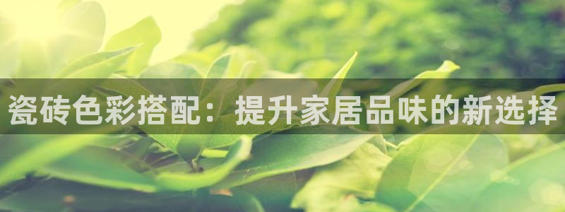 杏鑫官方平台怎么样啊安全吗