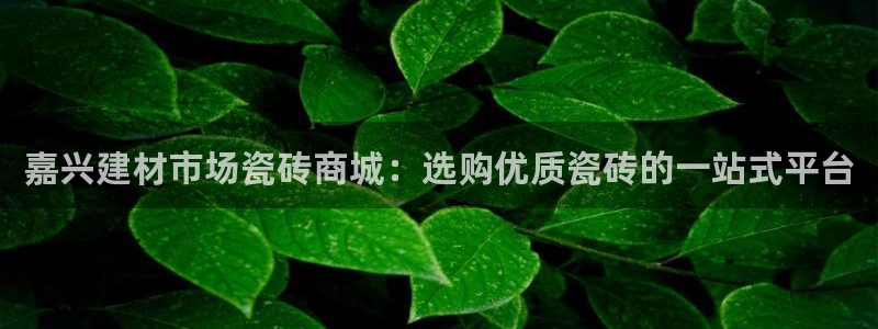 杏鑫娱乐官网